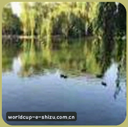吴涛